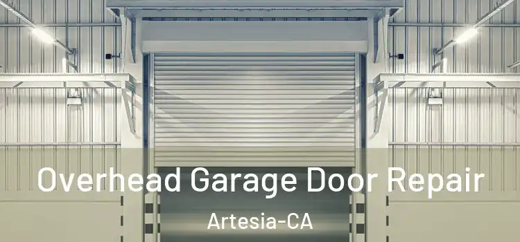 Overhead Garage Door Repair Artesia-CA