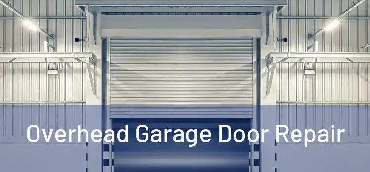 Overhead Garage Door Repair 